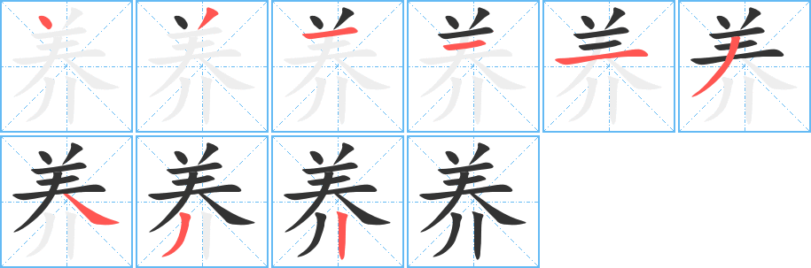 養(yǎng)字筆畫(huà)寫(xiě)法