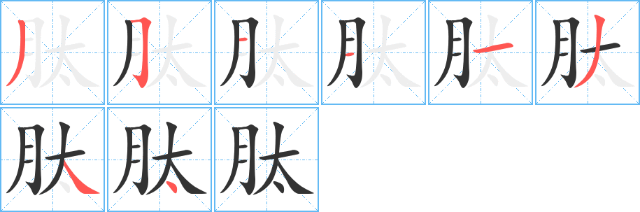 肽字筆畫(huà)寫(xiě)法