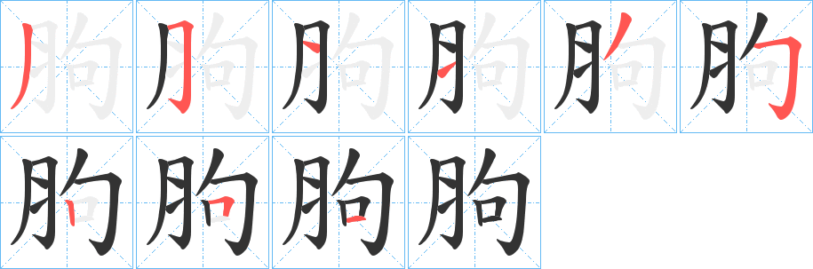 胊字筆畫(huà)寫(xiě)法