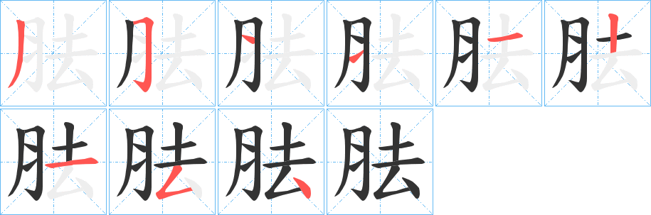 胠字筆畫(huà)寫(xiě)法