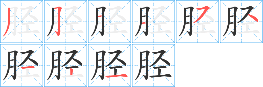 脛字筆畫(huà)寫(xiě)法