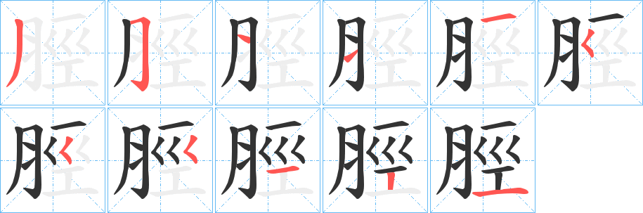 脛字筆畫(huà)寫(xiě)法