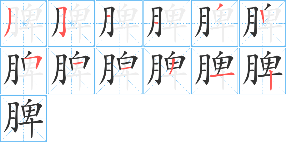 脾字筆畫(huà)寫(xiě)法