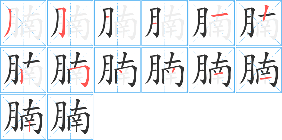 腩字筆畫(huà)寫(xiě)法