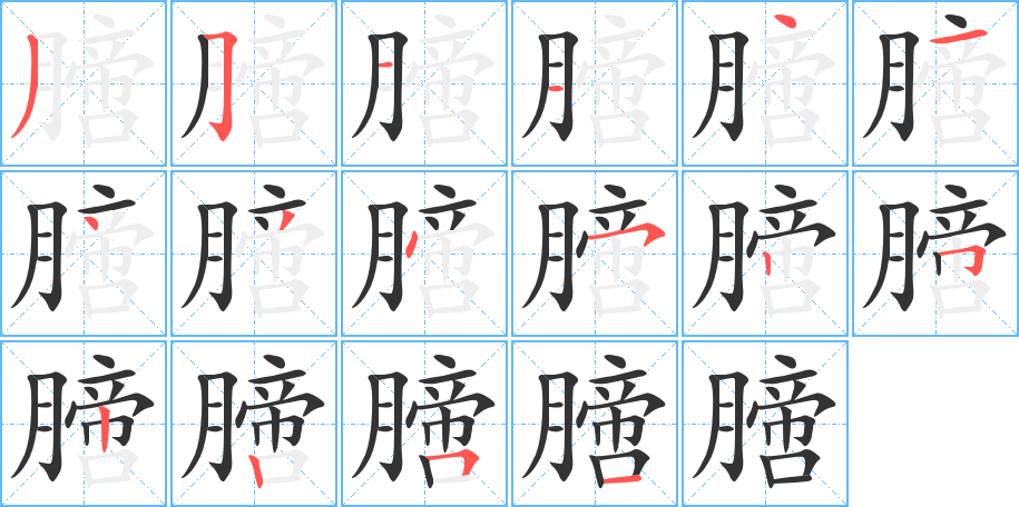 膪字筆畫(huà)寫(xiě)法