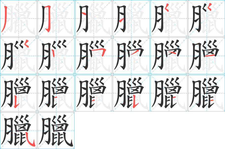 臘字筆畫(huà)寫(xiě)法