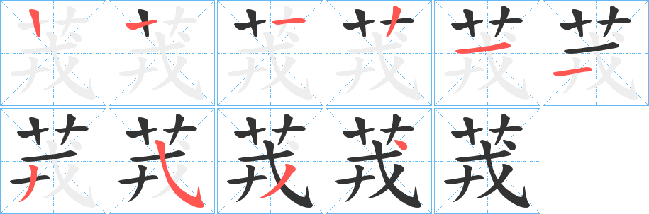茙字筆畫(huà)寫(xiě)法