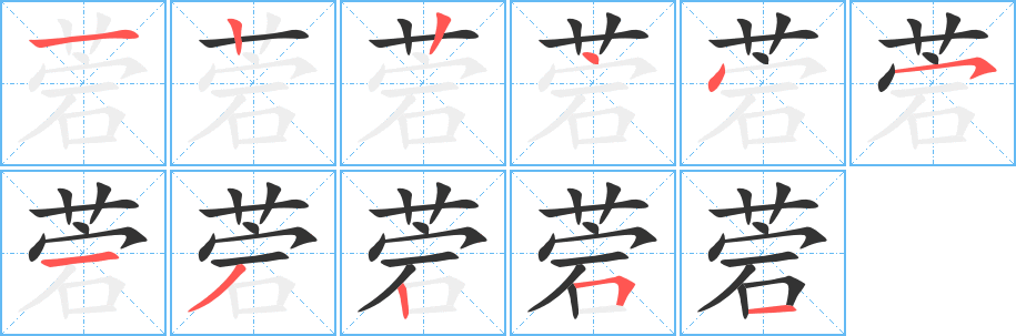 菪字筆畫(huà)寫(xiě)法