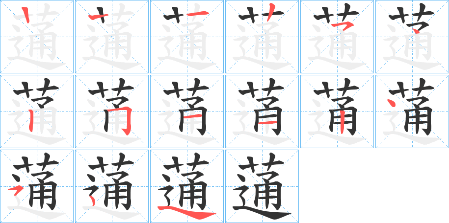 蓪字筆畫(huà)寫(xiě)法