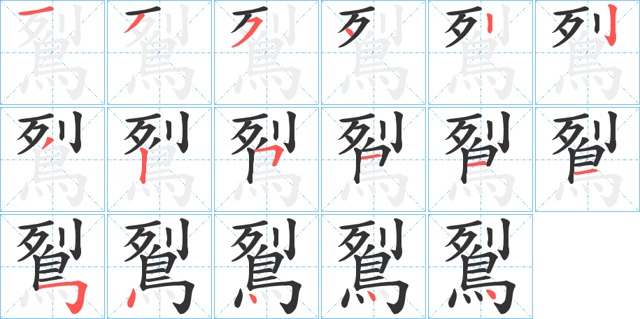 鴷字筆畫(huà)寫(xiě)法