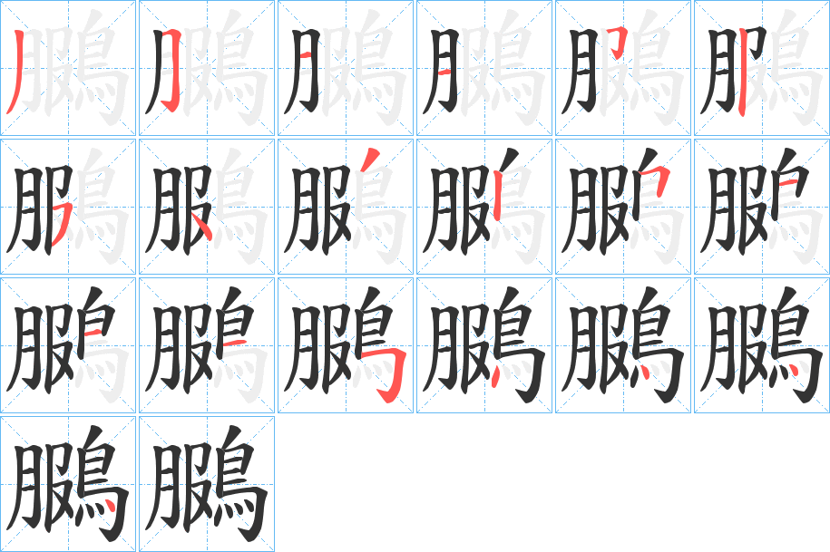 鵩字筆畫寫法