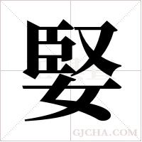 婜的筆順