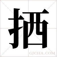 拪的筆順