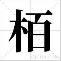 栢的筆順