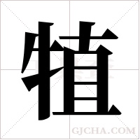 犆的筆順