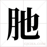 肔的筆順