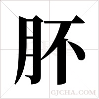 肧的筆順