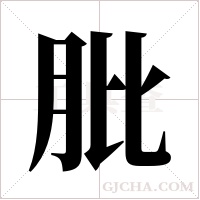 肶的筆順