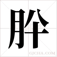 肸的筆順