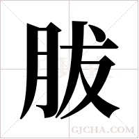 胈的筆順