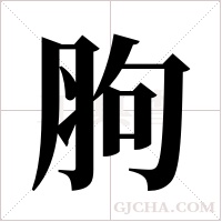 胊的筆順