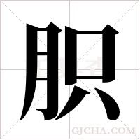 胑的筆順