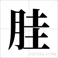 胿的筆順
