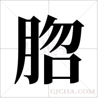 脗的筆順