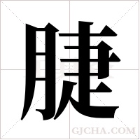 脻的筆順