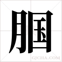 腘的筆順