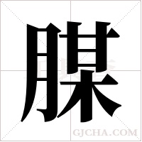 腜的筆順