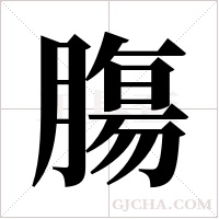 膓的筆順