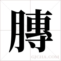 膞的筆順