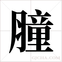 膧的筆順