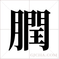 膶的筆順