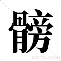 髈的筆順