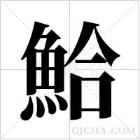 鮯的筆順