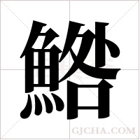 鯦的筆順