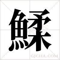 鰇的筆順