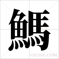 鰢的筆順