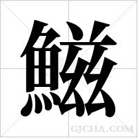 鰦的筆順