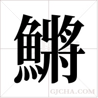 鱂的筆順