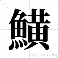 鱑的筆順