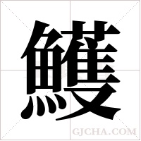 鱯的筆順