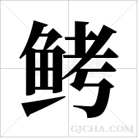 鲓的筆順