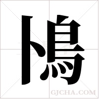 鳪的筆順