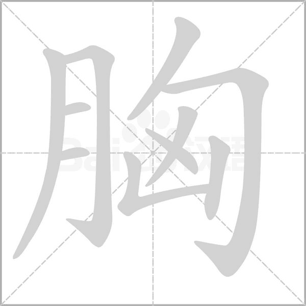 胸的筆順