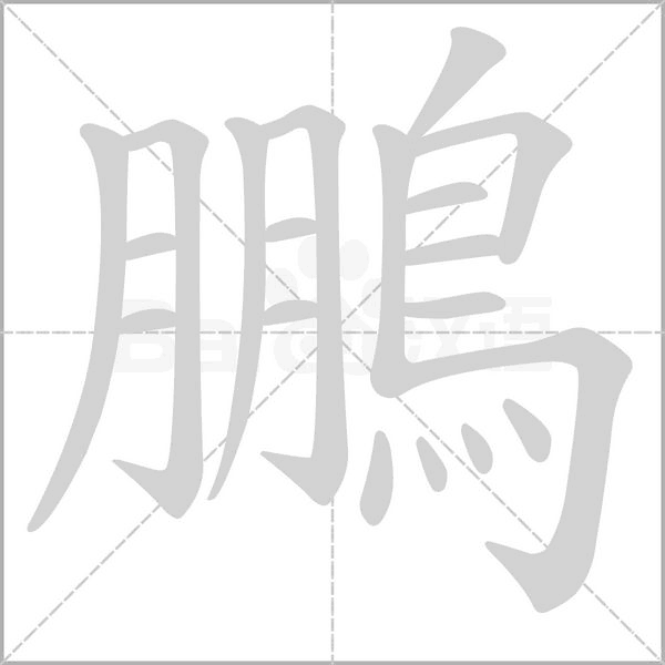 鵬的筆順