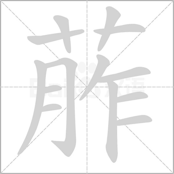 葄的筆順