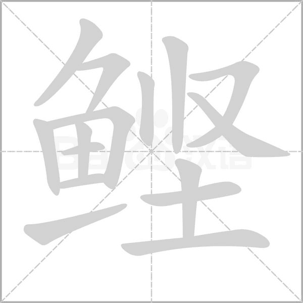 鰹的筆順